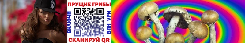 купить наркотик  Азов  Галлюциногенные грибы ЛСД 